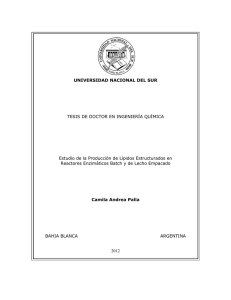 Palla-camila-tesis.pdf