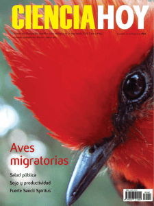 Las aves migratorias de América del Sur: nuevas técnicas revelan información sobre su comportamiento