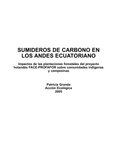 SUMIDEROS DE CARBONO EN LOS ANDES ECUATORIANO