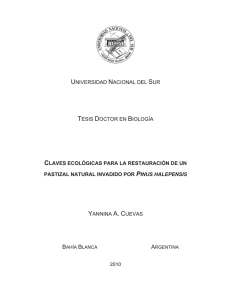 Tesis Cuevas.pdf