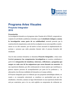   Programa Artes Visuales  Proyecto Integrador  2016 