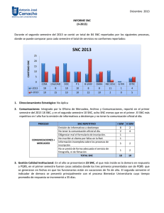 Informe SNC II-2013
