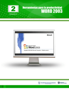  word 2003