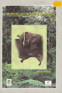 Murcielagos-Ecuador1999.pdf