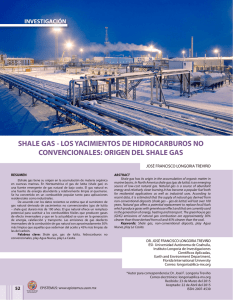 SHALE GAS - LOS YACIMIENTOS DE HIDROCARBUROS NO INVESTIGACIÓN
