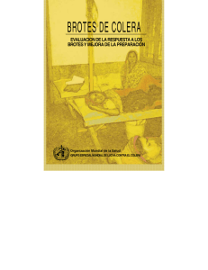 Brotes de cólera: Evaluación de la respuesta a los brotes y mejora de la preparación pdf, 681kb