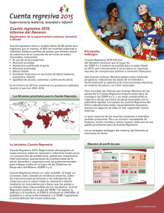 Informe del Decenio sobre supervivencia materna, neonatal e infantil pdf, 1.09Mb