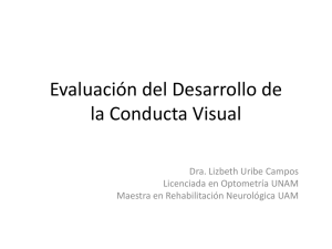Evaluación del Desarrollo de la Conducta Visual