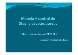 Manejo y control de Staphylococcus aureus