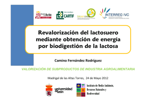 Camino Fernandez - Revalorización del lactosuero mediante obtención de energía por biodigestión de la lactosa.