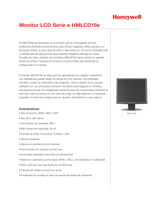 Monitor LCD Serie e HMLCD19e