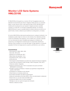 Monitor LCD Serie Systems HMLCD19S