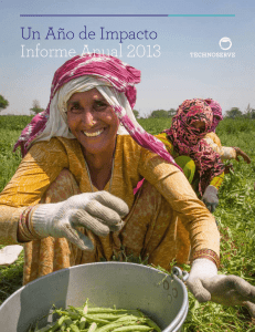Un Año de Impacto Informe Anual 2013