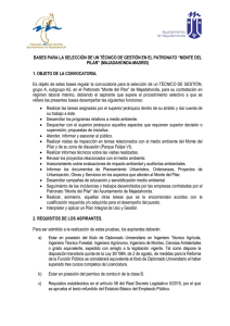 01.- Bases Técnico de gestión en el patronato "Monte del Pilar"