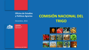 COMISIÓN NACIONAL DEL TRIGO Oficina de Estudios y Políticas Agrarias