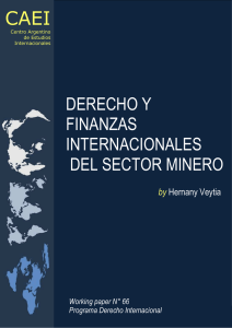 CAEI DERECHO Y FINANZAS INTERNACIONALES