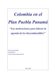 Colombia en el Plan Puebla Panamá “Las motivaciones para liderar la