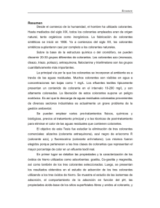 Pirillo Res.pdf