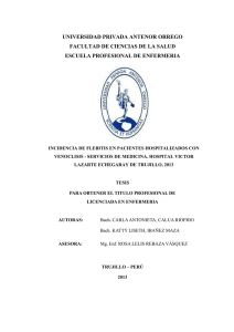 CALUA_CARLA_INCIDENCIA _FLEBITIS_HOSPITAL.pdf
