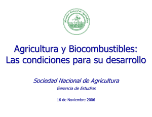 Agricultura y biocombustibles: las condiciones para su desarrollo