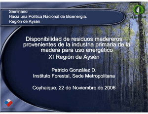 Disponibilidad de residuos madereros provenientes de la industria primaria de la madera para uso energético XI Región de Aysén