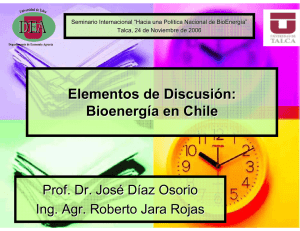Elementos de discusión: bioenergía en Chile