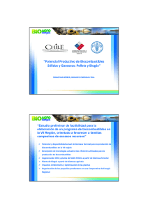 "Potencial Productivo de Biocombustibles Sólidos y Gaseosos: Pellets y Biogás" (pdf - 2,81 Mb)
