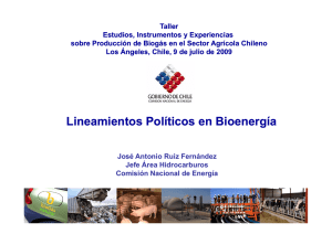 "Lineamientos Políticos en Bioenergía" (pdf - 1,2 Mb)