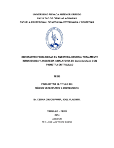 CHUQUIPOMA_JOEL_ANESTESIA_INHALATORIA_CANIS_FAMILIARIS.pdf
