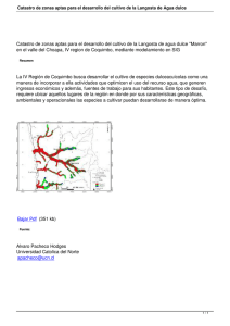 Catastro de zonas aptas para el desarrollo del cultivo de... en el valle del Choapa, IV region de Coquimbo, mediante...