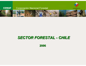 Sector forestal de Chile