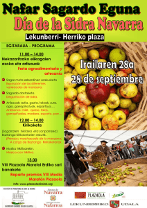 Programa Día de la Sidra 2014 en Lekunberri