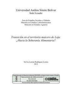 T1179-MELA-Rodriguez-Transicion.pdf