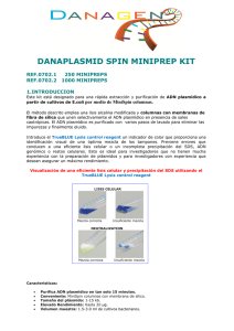 DANAPLASMID SPIN MINIPREP KIT  REF.0702.1     250 MINIPREPS