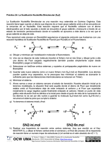 ocw_Práctica24_La Sustitución Nucleófila Bimolecular