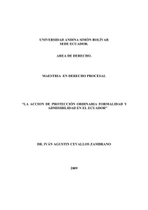 T0817-MDP-Cevallos-La acción de protección ordinaria.pdf