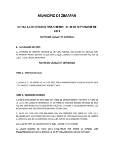 MUNICIPIO DE ZIMAPAN 2013 NOTAS DE CARÁCTER GENERAL