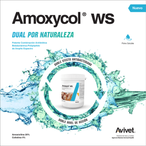 ws Amoxycol Nuevo Amoxicilina 20%
