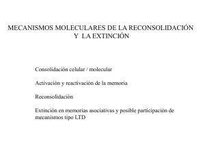 Mecanismos de reconsolidación y extinción.pdf