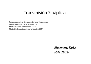 Transmisión Sináptica EK.pdf