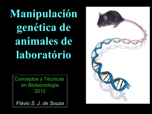 Clase Flavio - Biotech Animal 2012.pdf