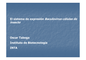 CTB-baculovirus2014.pdf