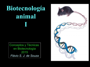 Clase Flavio - Biotech Animal 2015-I.pdf