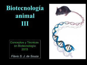 Clase Flavio - Biotech Animal 2015-III redux.pdf
