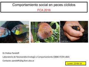 Teorica 23-5 FCA 2016.pdf