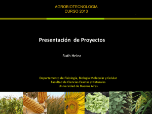 PRESENTACION PDT AGBT 2013.pdf