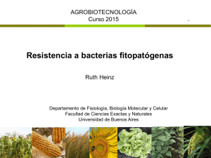 Clase 8 2015 Resistencia a bacterias Heinz Blanco.pdf