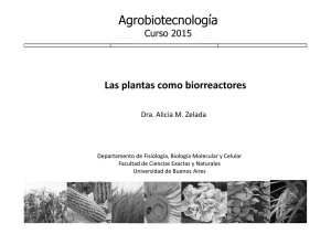 Clase 16 AGBT 2015 Las plantas como biorreactores Alicia Zelada_ByN.pdf