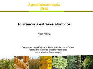 Clase 13 AGBT 2015 Resistencia a estres abiotic0 fondo blanco.pdf