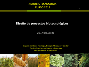 Clase 6 AGBT 2015 Diseño de proyectos biotecnológicos_AZ.pdf